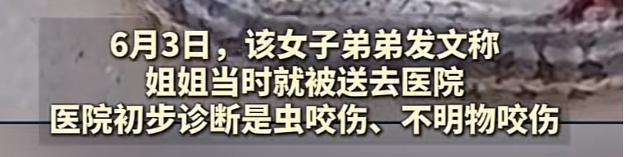 院迷惑操作家属接连发声已成立调查组尊龙凯时APP游客蛇伤致死后续！医(图7)